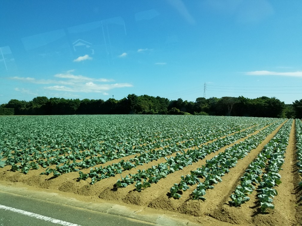 田原市の農業振興施策を視察