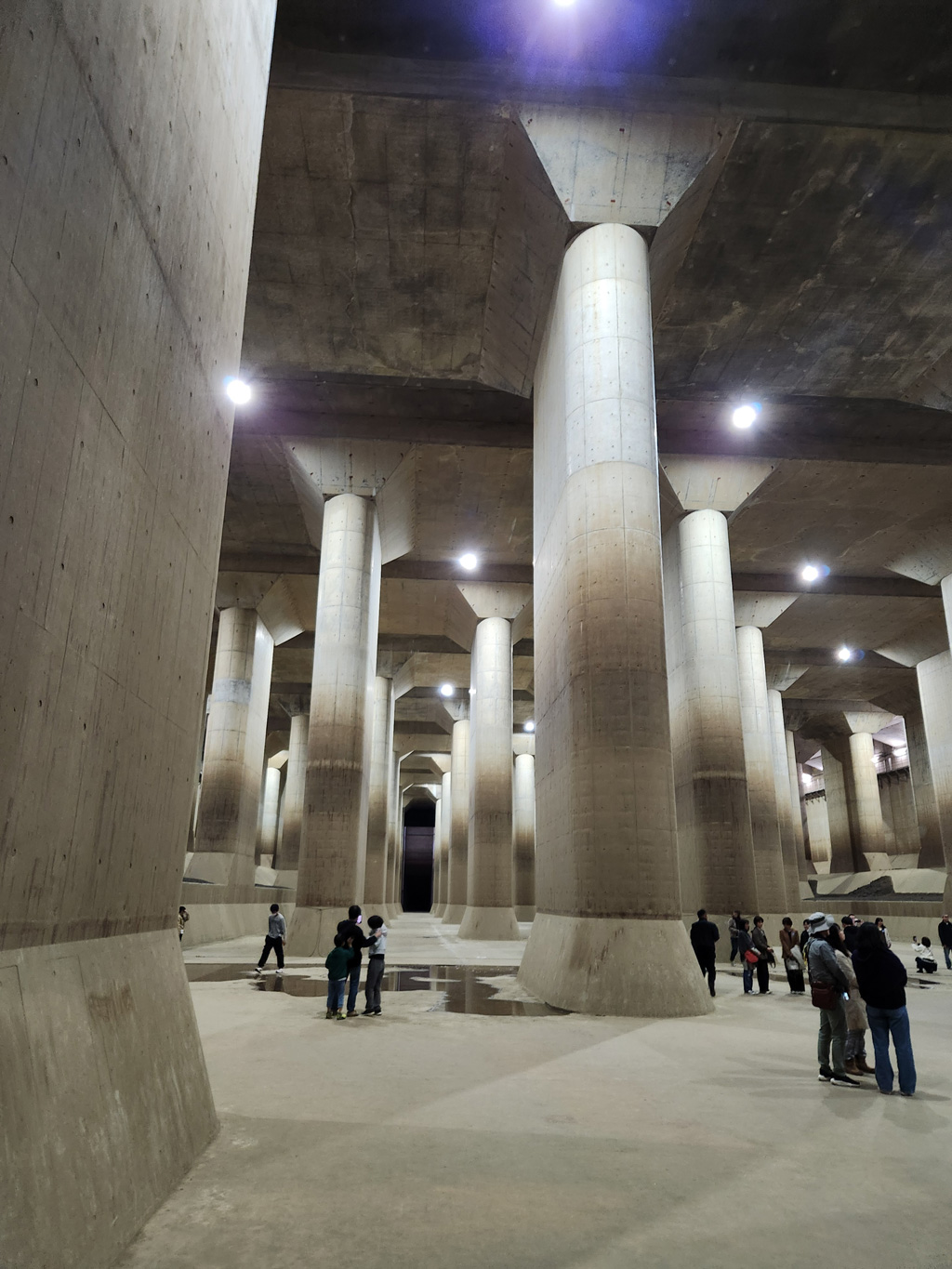 花・観光・消防の3議連合同現地視察