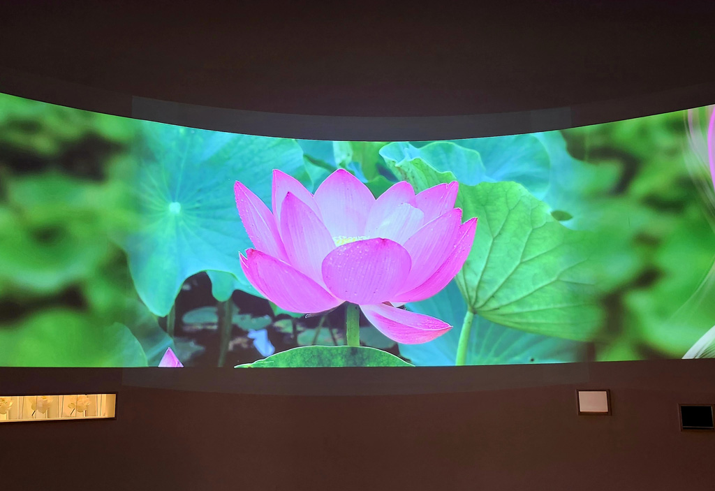 花・観光・消防の3議連合同現地視察