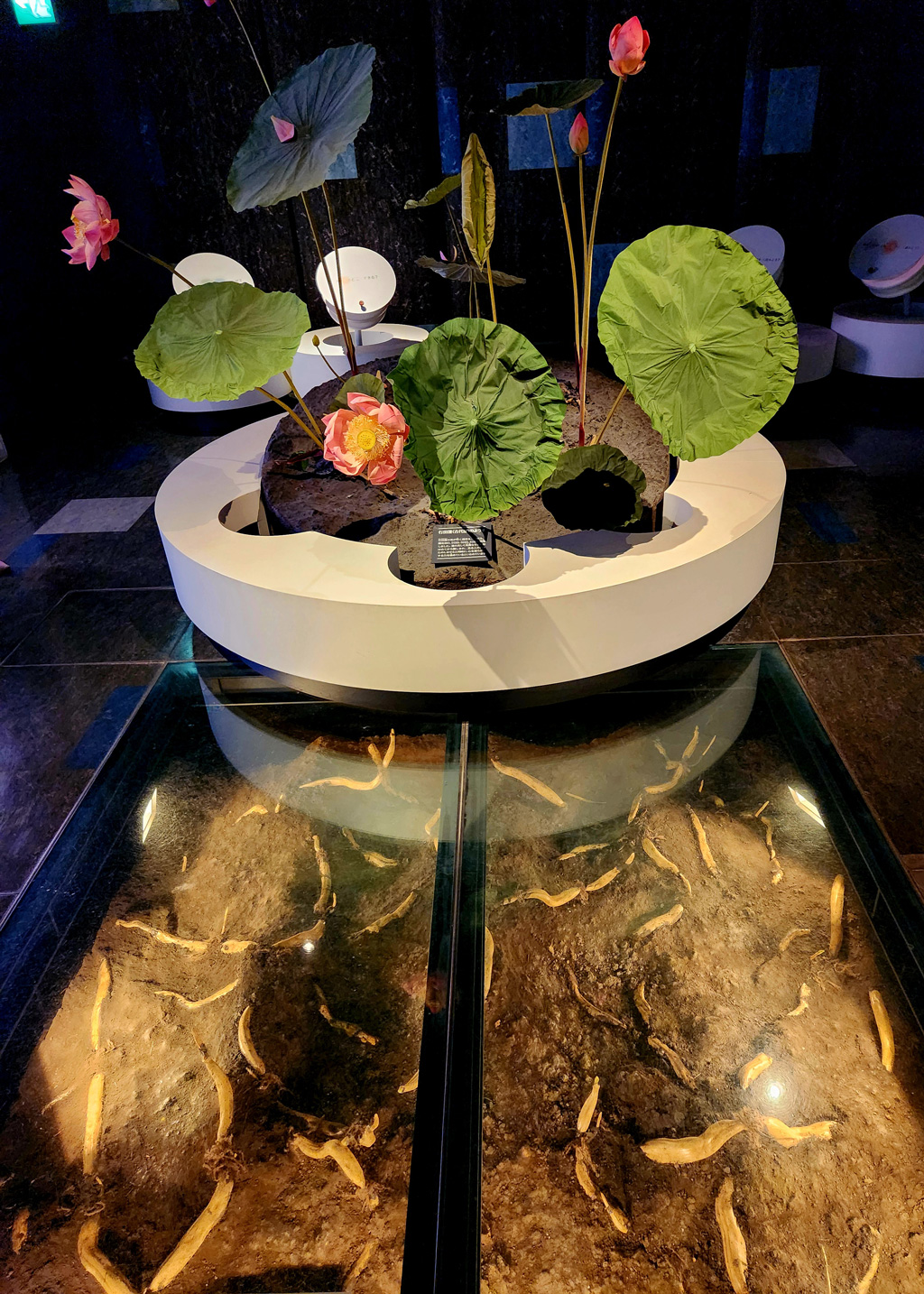 花・観光・消防の3議連合同現地視察