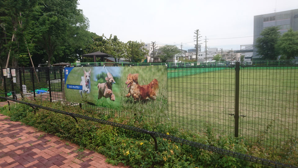 京都動物愛護センター視察